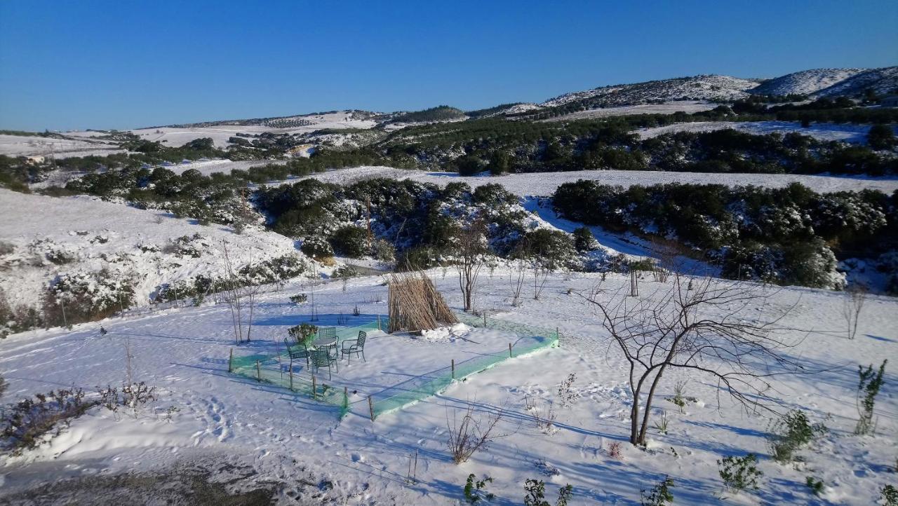 Daniil'S Luxury Villa And Spa Agios Antonios  Luaran gambar