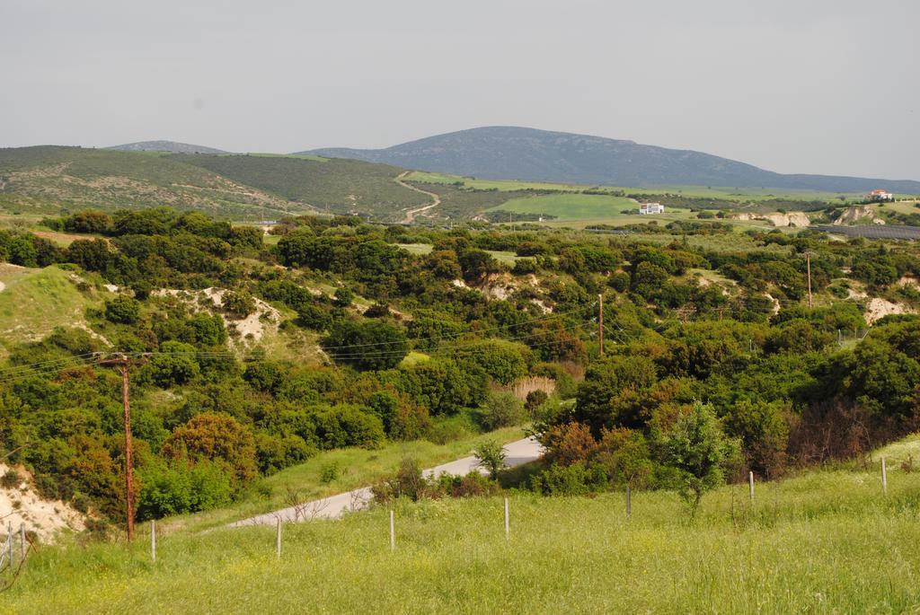 Daniil'S Luxury Villa And Spa Agios Antonios  Luaran gambar